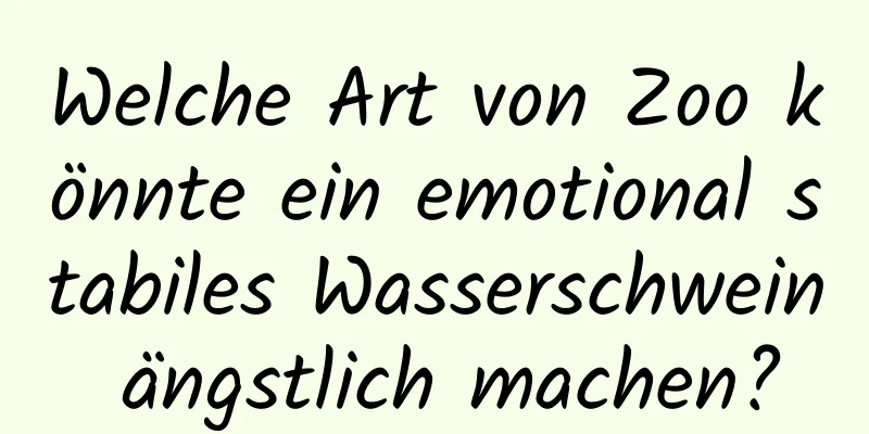 Welche Art von Zoo könnte ein emotional stabiles Wasserschwein ängstlich machen?