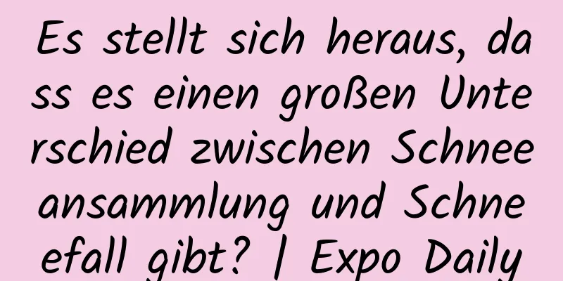 Es stellt sich heraus, dass es einen großen Unterschied zwischen Schneeansammlung und Schneefall gibt? | Expo Daily
