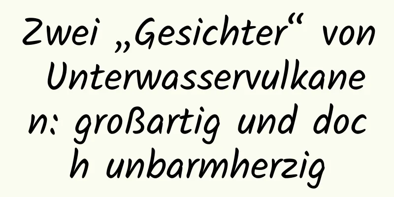 Zwei „Gesichter“ von Unterwasservulkanen: großartig und doch unbarmherzig