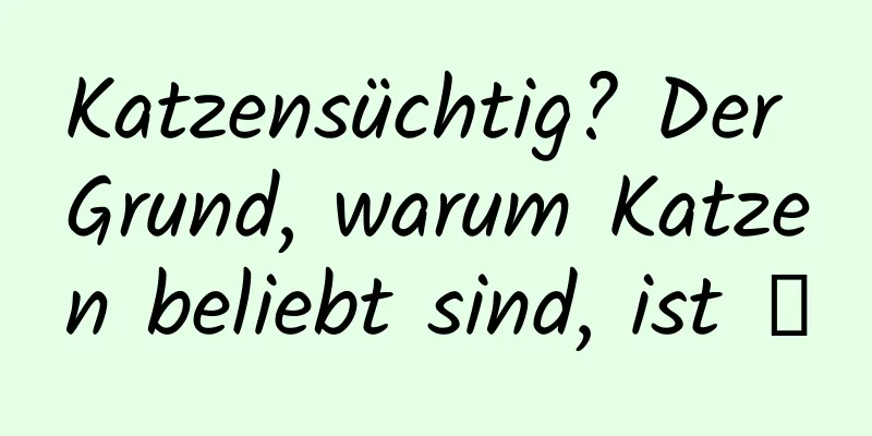 Katzensüchtig? Der Grund, warum Katzen beliebt sind, ist →