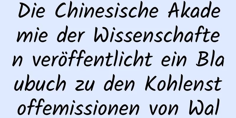 Die Chinesische Akademie der Wissenschaften veröffentlicht ein Blaubuch zu den Kohlenstoffemissionen von Waldbränden! | Expo Daily