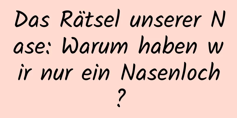 Das Rätsel unserer Nase: Warum haben wir nur ein Nasenloch?