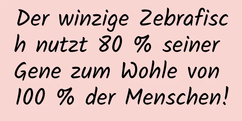 Der winzige Zebrafisch nutzt 80 % seiner Gene zum Wohle von 100 % der Menschen!