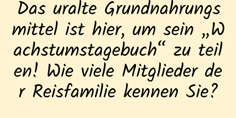 Das uralte Grundnahrungsmittel ist hier, um sein „Wachstumstagebuch“ zu teilen! Wie viele Mitglieder der Reisfamilie kennen Sie?