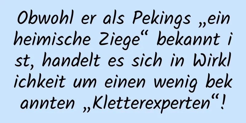 Obwohl er als Pekings „einheimische Ziege“ bekannt ist, handelt es sich in Wirklichkeit um einen wenig bekannten „Kletterexperten“!