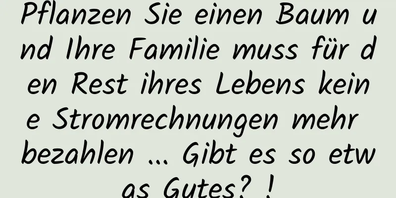 Pflanzen Sie einen Baum und Ihre Familie muss für den Rest ihres Lebens keine Stromrechnungen mehr bezahlen ... Gibt es so etwas Gutes? !