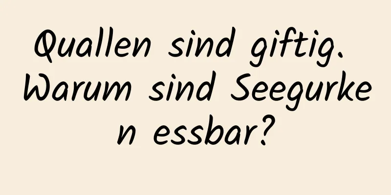 Quallen sind giftig. Warum sind Seegurken essbar?