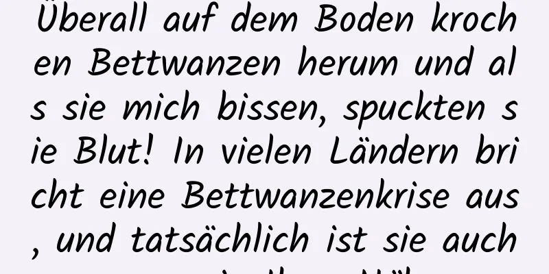 Überall auf dem Boden krochen Bettwanzen herum und als sie mich bissen, spuckten sie Blut! In vielen Ländern bricht eine Bettwanzenkrise aus, und tatsächlich ist sie auch ganz in Ihrer Nähe