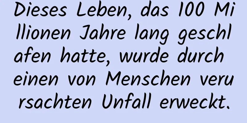 Dieses Leben, das 100 Millionen Jahre lang geschlafen hatte, wurde durch einen von Menschen verursachten Unfall erweckt.