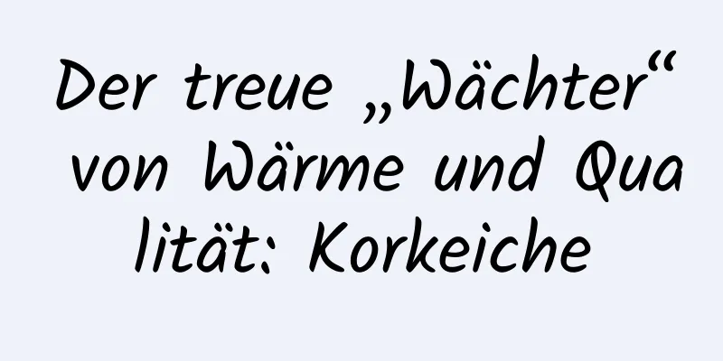 Der treue „Wächter“ von Wärme und Qualität: Korkeiche