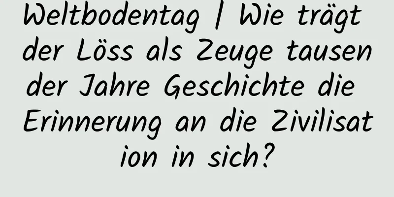 Weltbodentag | Wie trägt der Löss als Zeuge tausender Jahre Geschichte die Erinnerung an die Zivilisation in sich?