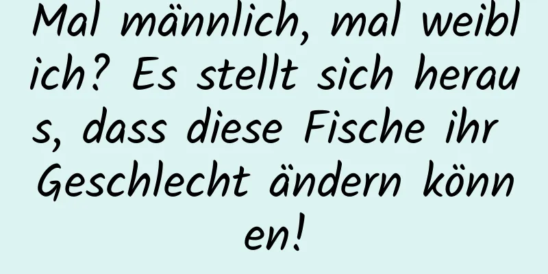 Mal männlich, mal weiblich? Es stellt sich heraus, dass diese Fische ihr Geschlecht ändern können!