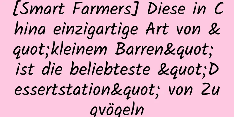 [Smart Farmers] Diese in China einzigartige Art von "kleinem Barren" ist die beliebteste "Dessertstation" von Zugvögeln