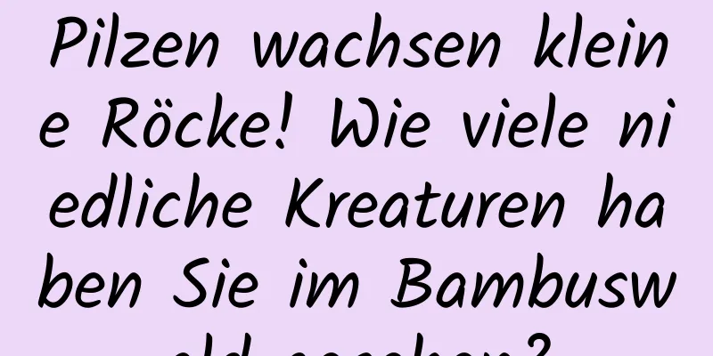Pilzen wachsen kleine Röcke! Wie viele niedliche Kreaturen haben Sie im Bambuswald gesehen?