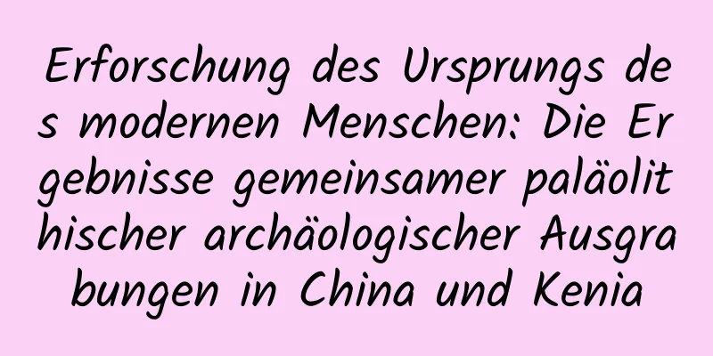 Erforschung des Ursprungs des modernen Menschen: Die Ergebnisse gemeinsamer paläolithischer archäologischer Ausgrabungen in China und Kenia