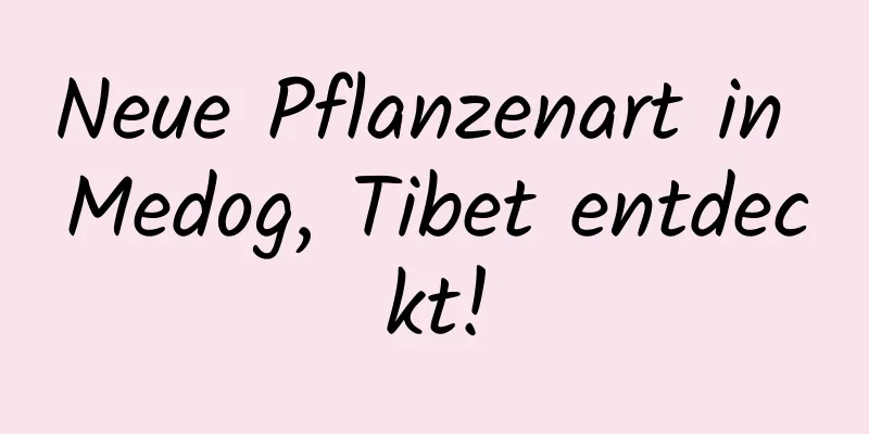 Neue Pflanzenart in Medog, Tibet entdeckt!