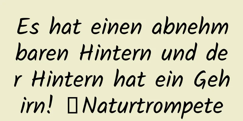 Es hat einen abnehmbaren Hintern und der Hintern hat ein Gehirn! ｜Naturtrompete