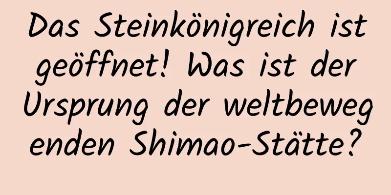 Das Steinkönigreich ist geöffnet! Was ist der Ursprung der weltbewegenden Shimao-Stätte?