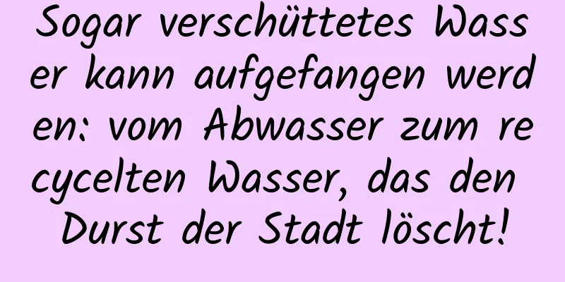 Sogar verschüttetes Wasser kann aufgefangen werden: vom Abwasser zum recycelten Wasser, das den Durst der Stadt löscht!