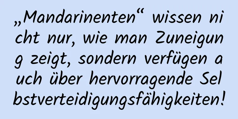 „Mandarinenten“ wissen nicht nur, wie man Zuneigung zeigt, sondern verfügen auch über hervorragende Selbstverteidigungsfähigkeiten!