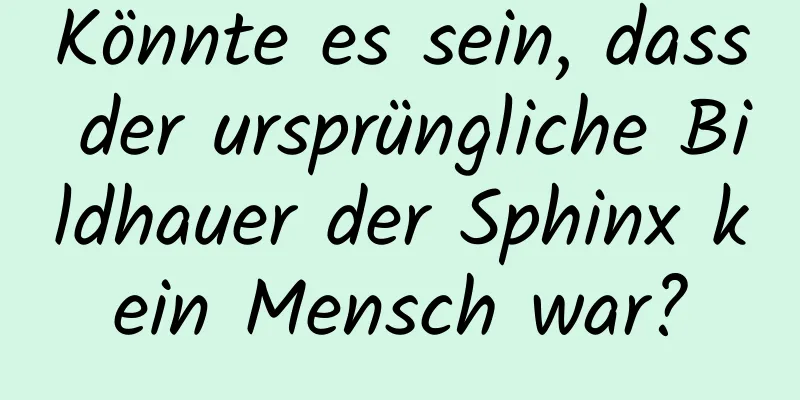 Könnte es sein, dass der ursprüngliche Bildhauer der Sphinx kein Mensch war?