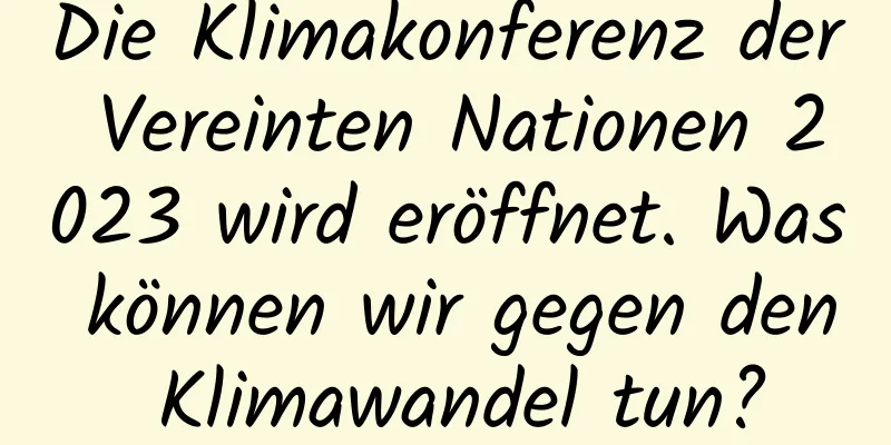 Die Klimakonferenz der Vereinten Nationen 2023 wird eröffnet. Was können wir gegen den Klimawandel tun?
