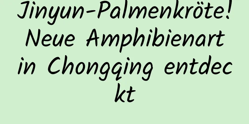 Jinyun-Palmenkröte! Neue Amphibienart in Chongqing entdeckt