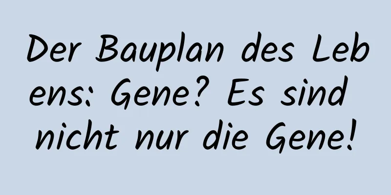 Der Bauplan des Lebens: Gene? Es sind nicht nur die Gene!