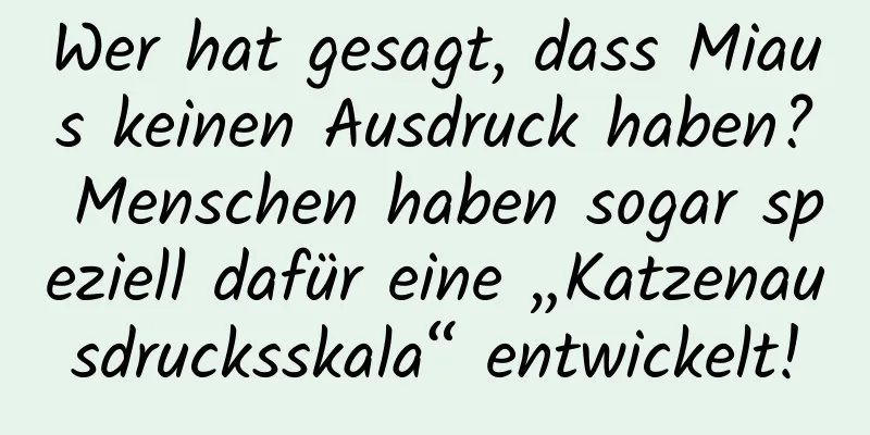 Wer hat gesagt, dass Miaus keinen Ausdruck haben? Menschen haben sogar speziell dafür eine „Katzenausdrucksskala“ entwickelt!