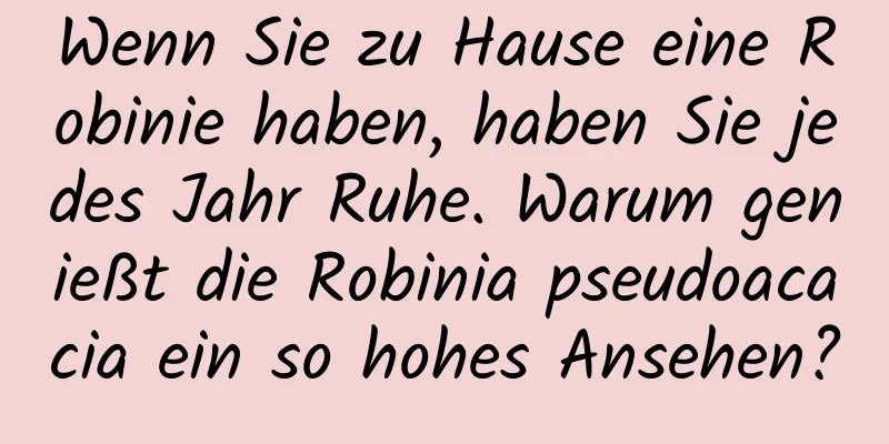 Wenn Sie zu Hause eine Robinie haben, haben Sie jedes Jahr Ruhe. Warum genießt die Robinia pseudoacacia ein so hohes Ansehen?