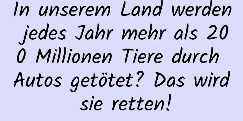 In unserem Land werden jedes Jahr mehr als 200 Millionen Tiere durch Autos getötet? Das wird sie retten!
