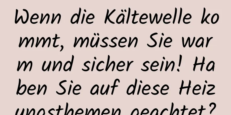 Wenn die Kältewelle kommt, müssen Sie warm und sicher sein! Haben Sie auf diese Heizungsthemen geachtet?