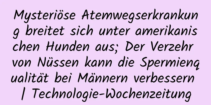 Mysteriöse Atemwegserkrankung breitet sich unter amerikanischen Hunden aus; Der Verzehr von Nüssen kann die Spermienqualität bei Männern verbessern | Technologie-Wochenzeitung