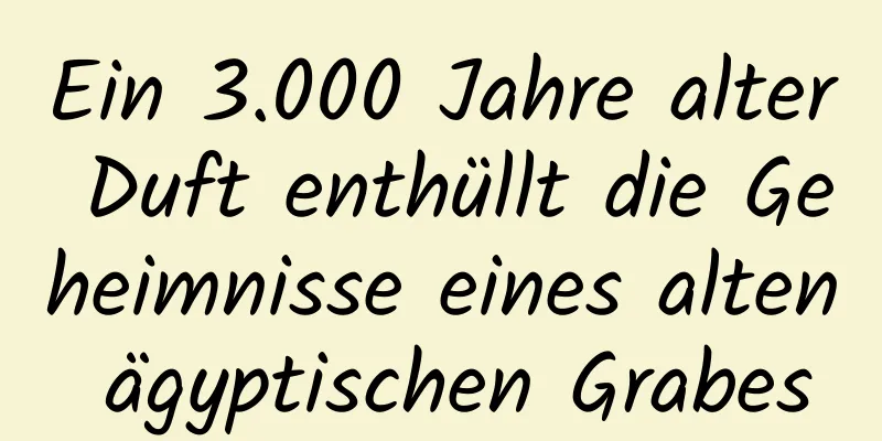 Ein 3.000 Jahre alter Duft enthüllt die Geheimnisse eines alten ägyptischen Grabes