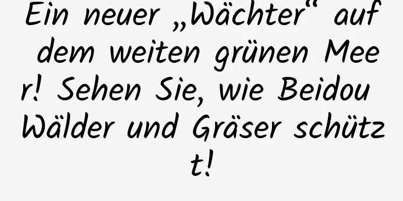 Ein neuer „Wächter“ auf dem weiten grünen Meer! Sehen Sie, wie Beidou Wälder und Gräser schützt!