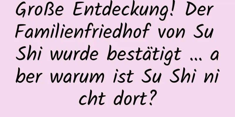 Große Entdeckung! Der Familienfriedhof von Su Shi wurde bestätigt … aber warum ist Su Shi nicht dort?