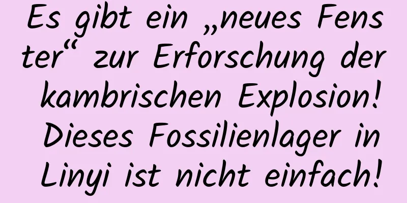 Es gibt ein „neues Fenster“ zur Erforschung der kambrischen Explosion! Dieses Fossilienlager in Linyi ist nicht einfach!