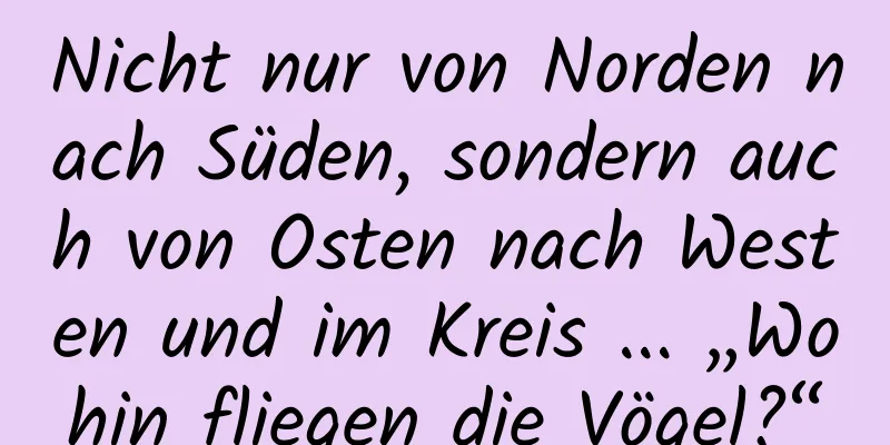 Nicht nur von Norden nach Süden, sondern auch von Osten nach Westen und im Kreis ... „Wohin fliegen die Vögel?“