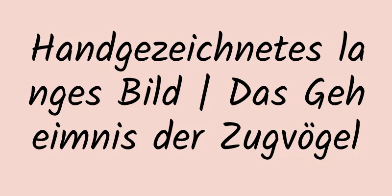 Handgezeichnetes langes Bild | Das Geheimnis der Zugvögel