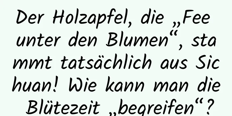 Der Holzapfel, die „Fee unter den Blumen“, stammt tatsächlich aus Sichuan! Wie kann man die Blütezeit „begreifen“?