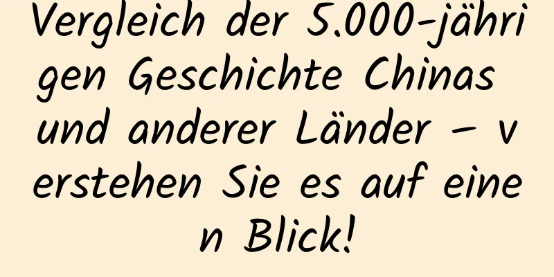 Vergleich der 5.000-jährigen Geschichte Chinas und anderer Länder – verstehen Sie es auf einen Blick!