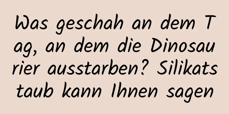 Was geschah an dem Tag, an dem die Dinosaurier ausstarben? Silikatstaub kann Ihnen sagen