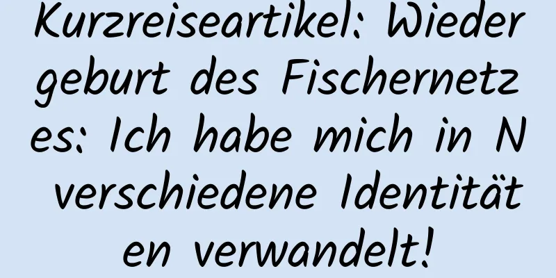 Kurzreiseartikel: Wiedergeburt des Fischernetzes: Ich habe mich in N verschiedene Identitäten verwandelt!