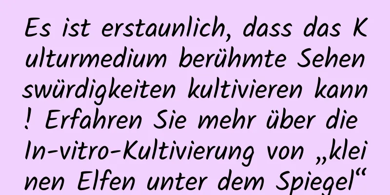 Es ist erstaunlich, dass das Kulturmedium berühmte Sehenswürdigkeiten kultivieren kann! Erfahren Sie mehr über die In-vitro-Kultivierung von „kleinen Elfen unter dem Spiegel“