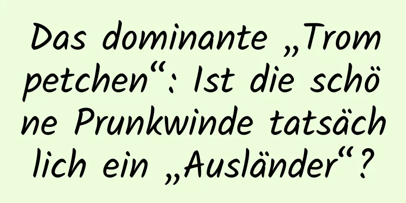 Das dominante „Trompetchen“: Ist die schöne Prunkwinde tatsächlich ein „Ausländer“?