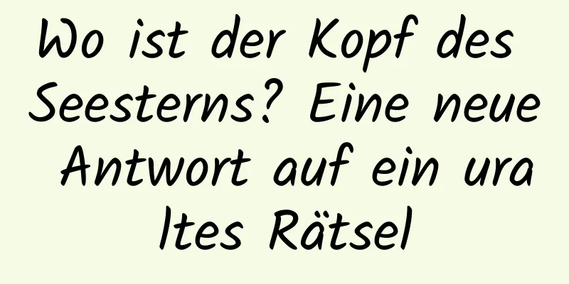 Wo ist der Kopf des Seesterns? Eine neue Antwort auf ein uraltes Rätsel