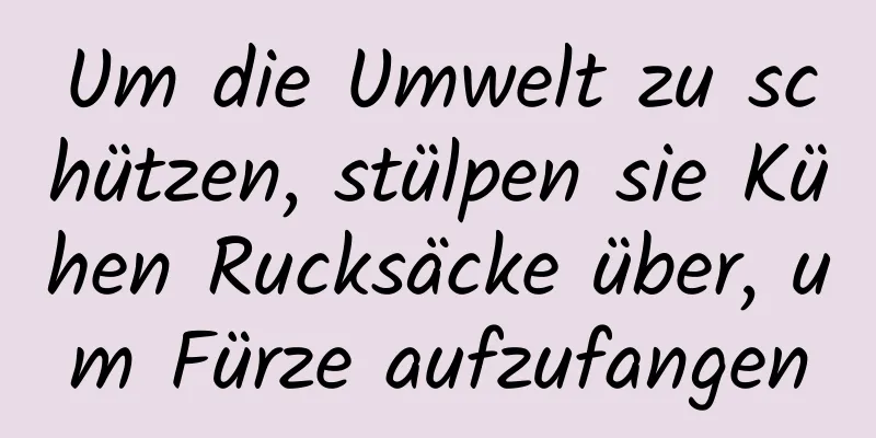 Um die Umwelt zu schützen, stülpen sie Kühen Rucksäcke über, um Fürze aufzufangen