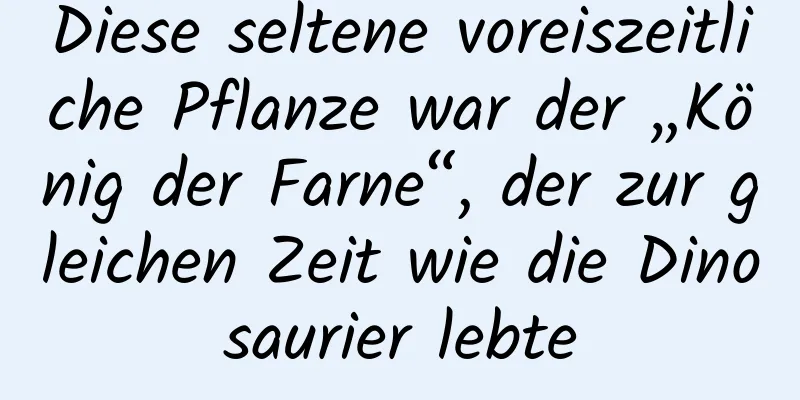 Diese seltene voreiszeitliche Pflanze war der „König der Farne“, der zur gleichen Zeit wie die Dinosaurier lebte