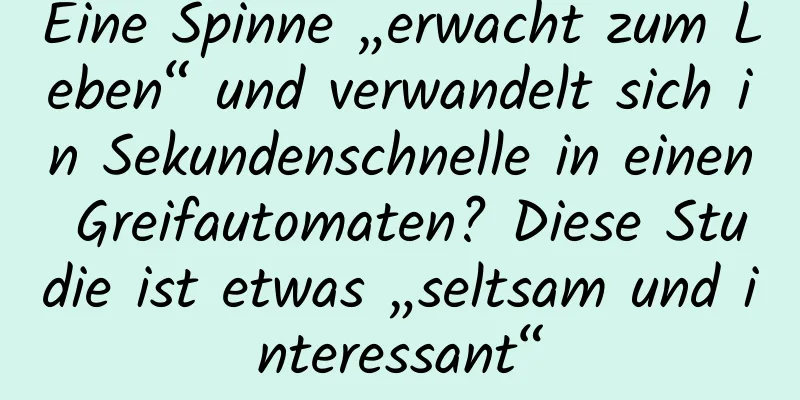Eine Spinne „erwacht zum Leben“ und verwandelt sich in Sekundenschnelle in einen Greifautomaten? Diese Studie ist etwas „seltsam und interessant“