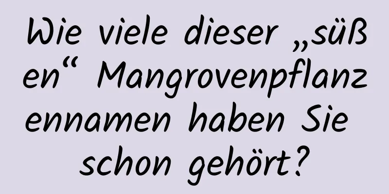 Wie viele dieser „süßen“ Mangrovenpflanzennamen haben Sie schon gehört?